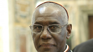 El cardenal guineano Robert Sarah, adalid de los conservadores cr&iacute;ticos de Francisco