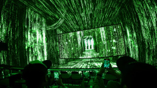 Experi&ecirc;ncia imersiva: a nova aposta para atrair o p&uacute;blico de volta aos cinemas nos EUA