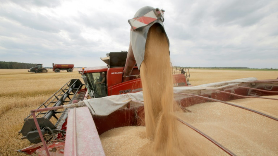 Getreide so stark verteuert wie seit mehr als zehn Jahren nicht mehr