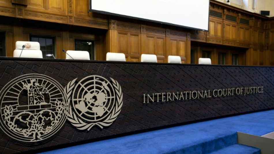 CIJ busca marco jur&iacute;dico para proteger meio ambiente