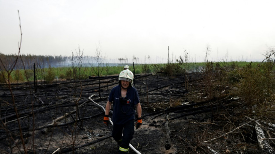 Deutschland steuert auf Rekordjahr bei Waldbr&auml;nden zu