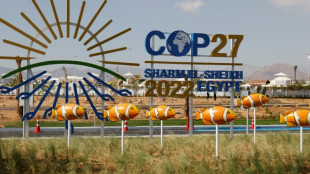 D&eacute;g&acirc;ts climatiques aux plus pauvres: la COP27 adopte le principe d'un fonds sp&eacute;cial