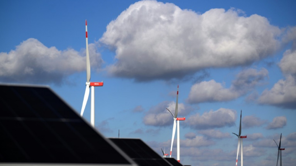 Sondierungsergebnisse: Greenpeace bem&auml;ngelt "enorme L&uuml;cke" bei Umwelt und Klima