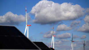 Sondierungsergebnisse: Greenpeace bem&auml;ngelt "enorme L&uuml;cke" bei Umwelt und Klima