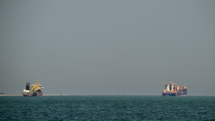 How many cargo ships are passing Hormuz strait?