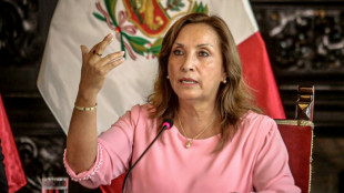 El gobierno de Perú revela que la presidenta Boluarte pasó por una "afección pulmonar severa"
