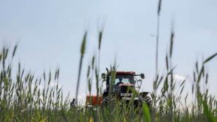 Umweltschützer fordern mehr Tempo bei Exportverbot für "hochgefährliche Pestizide"