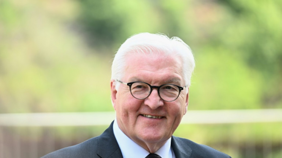 Steinmeier w&uuml;rdigt Ehrenamtliche mit Fest im Schlosspark Bellevue