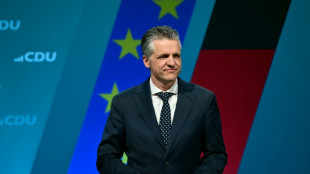 Frei: Neue Regierung will Bundeshaushalt 2025 rasch in Angriff nehmen