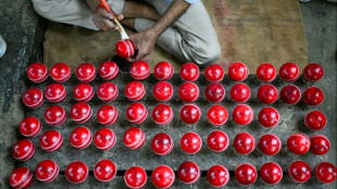 Sacred cow: Ball makers break taboos for India's favourite sport