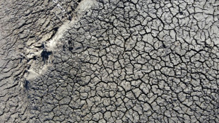 Uruguai prorroga at&eacute; fim do ano emerg&ecirc;ncia agropecu&aacute;ria devido &agrave; seca