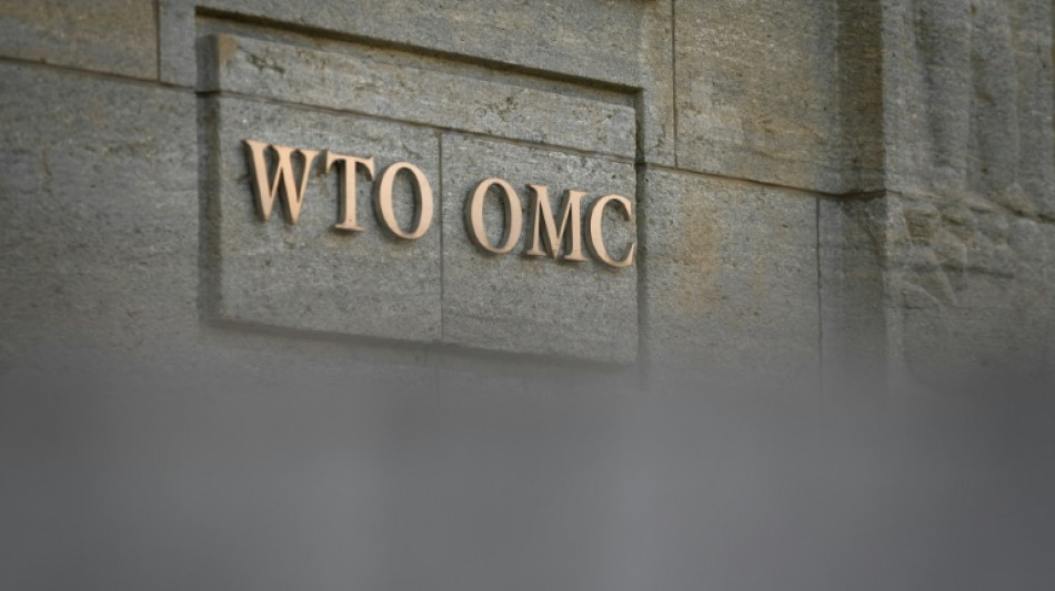 Guerre en Ukraine: la croissance du commerce mondial pourrait &ecirc;tre divis&eacute;e par deux (OMC)