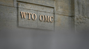WTO: Welthandelsvolumen könnte sich wegen Ukraine-Krieg in 2022 halbieren