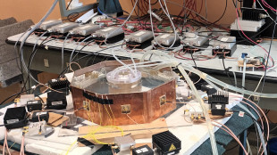 PoliTo e Fondazione Links per l'ipertermia oncologica