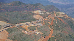 Nueva Caledonia apuesta por el "n&iacute;quel verde" para destacar en el mercado mundial