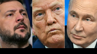 Ukraine: Trump affirme que Poutine "est devenu compl&egrave;tement fou" 