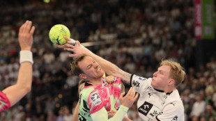 HBL: F&uuml;chse gewinnen Topspiel in Kiel