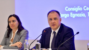 Orsini: in Italia serve strategia condivisa, visione industriale