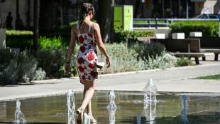 Canicule, pic et vague de chaleur, quelles diff&eacute;rences?