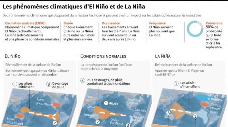 M&eacute;t&eacute;o: l'ONU appelle &agrave; anticiper les cons&eacute;quences d'El Ni&ntilde;o