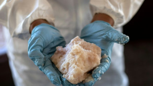 Ermittler entdecken anderthalb Tonnen Crystal Meth im Hamburger Hafen