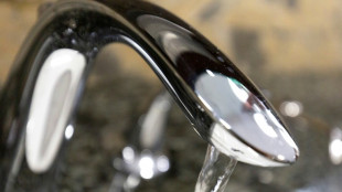 Fast zwei Drittel des Trinkwasserbedarfs werden aus Grundwasser gedeckt