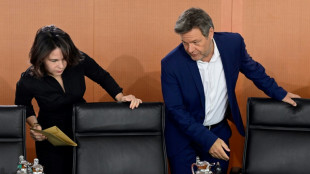 Stimmung "sommerlich gel&ouml;st": Habeck leitet Kabinettssitzung