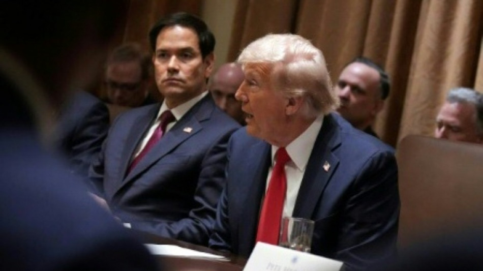 Bericht: Musk und Rubio geraten im Wei&szlig;en Haus aneinander - Trump dementiert