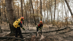 Les principaux incendies contenus avant une nuit d'orages p&eacute;rilleuse