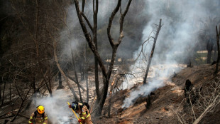 El cambio climático no fue determinante en los incendios en Chile (estudio)
