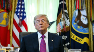 Trump diz que R&uacute;ssia "n&atilde;o atacar&aacute;" territ&oacute;rio da Otan