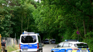 Behörden suchen in Berlin und Brandenburg mit Großaufgebot nach entlaufener Löwin