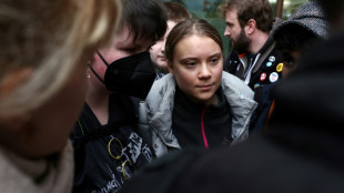 Anh&ouml;rung in London nach Protestaktion: Aktivistin Thunberg pl&auml;diert auf nicht schuldig