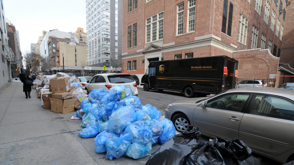 Caldo e meno verde, cos&igrave; il boom di ratti nelle grandi citt&agrave;