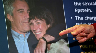 Los dem&oacute;cratas piden un fiscal especial para investigar los v&iacute;nculos de Trump con Epstein