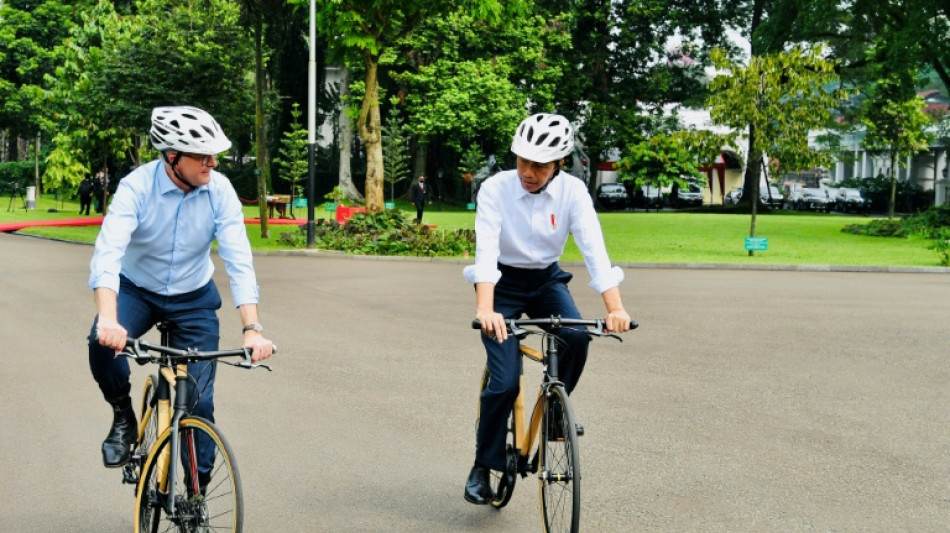 Indonesian designer's wheels behind leaders' bamboo bike bromance