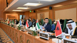 Organisation f&uuml;r Islamische Zusammenarbeit billigt &auml;gyptischen Gazastreifen-Plan