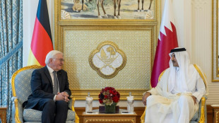Steinmeier dankt Katar für Bemühungen um Freilassung von Geiseln der Hamas