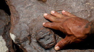Seca extrema revela gravuras rupestres na Amazônia