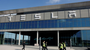 Gemeindevertreter in Grünheide stimmen für Ausbau des Tesla-Werks