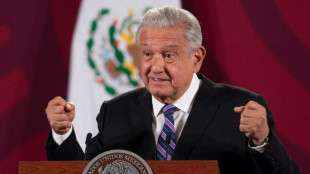 El presidente de M&eacute;xico somete su reforma del sector el&eacute;ctrico al voto de Diputados