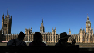UK MPs arrested for sexual offences face parliament ban