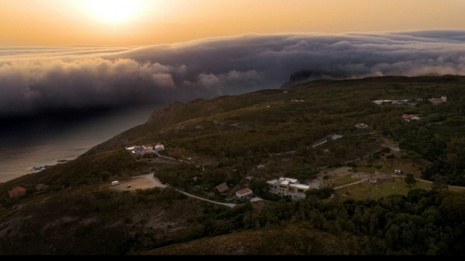 Portugal registr&oacute; h  r&eacute;cord de temperatura en un mes de junio de 46,6 &deg;C, afirma la agencia meteorol&oacute;gica