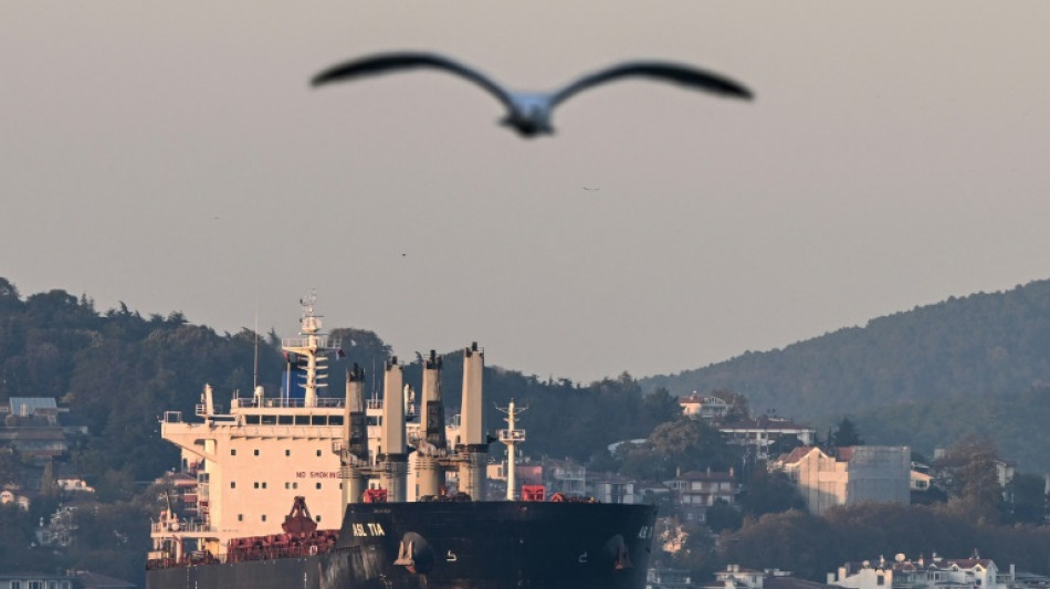 Ucrania env&iacute;a nuevos buques con granos, pero Rusia pone en duda el futuro del acuerdo