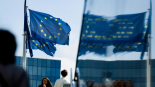 Zone euro: la reprise économique s'accélère en mai, accalmie sur les prix