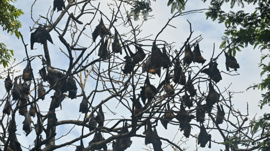 Vers davantage de zoonoses, avec le risque de nouvelles pand&eacute;mies