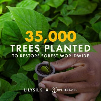 LILYSILK Partners with One Tree Planted for Thanksgiving Reforestation Initiative